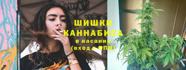 MESCALINE Елизово